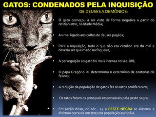 GATOS: CONDENADOS PELA INQUISIÇÃO
DE DEUSESA DEMÔNIOS:
 O gato começou a ser visto de forma negativa a partir do
cristianismo, na Idade Média;
 Animal ligado aos cultos de deuses pagãos;
 Para a Inquisição, tudo o que não era católico era do mal e
deveria ser queimado na fogueira;
 A perseguição ao gato foi mais intensa no séc. XIII;
 O papa Gregório IX determinou o extermínio de centenas de
felinos;
 A redução da população de gatos fez os ratos proliferaram;
 Os ratos foram os principais responsáveis pela peste negra;
 Em razão disso, no séc. 14 a PESTE NEGRA se alastrou e
dizimou cerca de um terço da população européia.
 