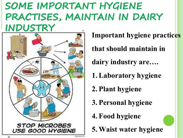 Dairy Food Safety Dairy Food Safety