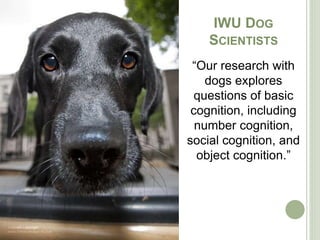 Getting to Gobsmacked: Faculty, Students & Open Access