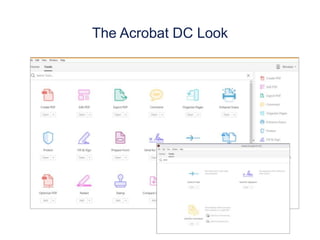 The Acrobat DC Look
 