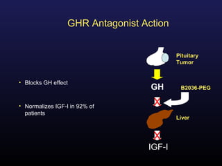 GHR Antagonist Action


                                          Pituitary
                                          Tumor


• Blocks GH effect
                                   GH      B2036-PEG


• Normalizes IGF-I in 92% of       X
  patients
                                          Liver


                                   X
                                  IGF-I
 