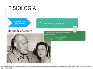 FISIOLOGÍA
Hormona anabólica
Hormona de
Crecimiento Permite síntesis proteica.
* Esencial para crecimiento óseo y de
tejidos blandos
* Contribuye a disponibilidad de
energía a partir de CH y Gr
Catalina Rua Marín, Guillermo Latorre Sierra, Germán Campuzano Maya. Diagnóstico de Acromegalia. Medicina & Laboratorio 2011,
vol 17, Num 11-12
 