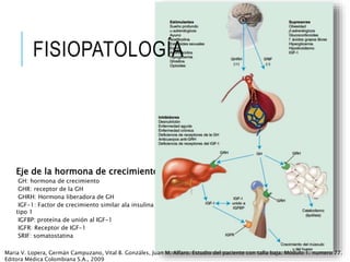 Eje de la hormona de crecimiento
GH: hormona de crecimiento
GHR: receptor de la GH
GHRH: Hormona liberadora de GH
IGF-1: Factor de crecimiento similar ala insulina
tipo 1
IGFBP: proteína de unión al IGF-1
IGFR: Receptor de IGF-1
SRIF: somatostatina
FISIOPATOLOGÍA
Maria V. Lopera, Germán Campuzano, Vital B. Gonzáles, Juan M. Alfaro. Estudio del paciente con talla baja. Módulo 1. numero 77.
Editora Médica Colombiana S.A., 2009
 