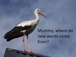 Mummy, where do new words come from? 