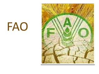 FAO

 