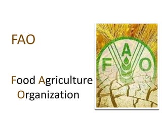 FAO
Food Agriculture
Organization

 