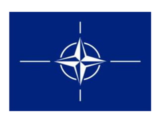 North Atlantic Treaty Organization

 