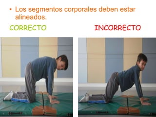 Los segmentos corporales deben estar alineados. CORRECTO   INCORRECTO 