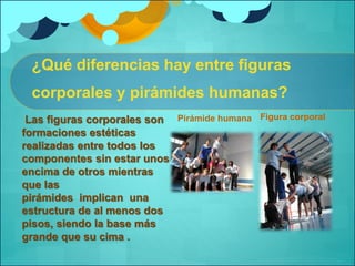 ¿Qué diferencias hay entre figuras 
corporales y pirámides humanas? 
Las figuras corporales son 
formaciones estéticas 
realizadas entre todos los 
componentes sin estar unos 
encima de otros mientras 
que las 
pirámides implican una 
estructura de al menos dos 
pisos, siendo la base más 
grande que su cima . 
Pirámide humana Figura corporal 
 