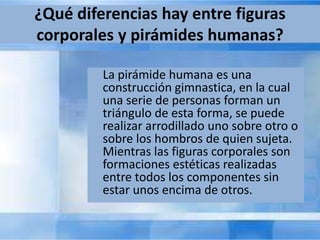 ¿Qué diferencias hay entre figuras 
corporales y pirámides humanas? 
La pirámide humana es una 
construcción gimnastica, en la cual 
una serie de personas forman un 
triángulo de esta forma, se puede 
realizar arrodillado uno sobre otro o 
sobre los hombros de quien sujeta. 
Mientras las figuras corporales son 
formaciones estéticas realizadas 
entre todos los componentes sin 
estar unos encima de otros. 
 