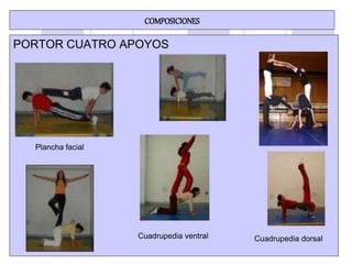 COMPOSICIONES
PORTOR CUATRO APOYOS
Plancha facial
Cuadrupedia ventral Cuadrupedia dorsal
 