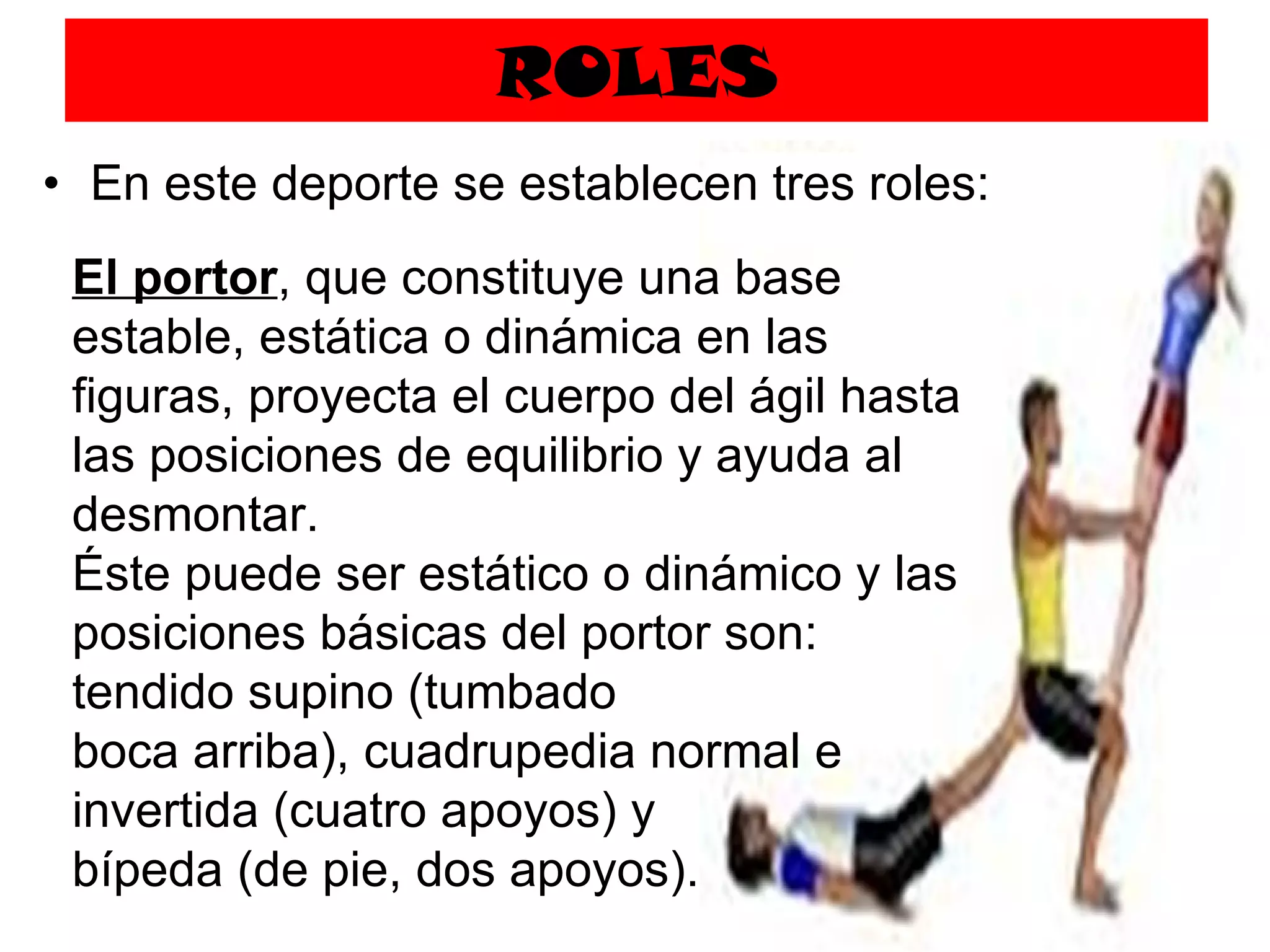 ROLES En este deporte se establecen tres roles:  El portor , que constituye una base estable, estática o dinámica en las figuras, proyecta el cuerpo del ágil hasta las posiciones de equilibrio y ayuda al desmontar. Éste puede ser estático o dinámico y las posiciones básicas del portor son: tendido supino (tumbado boca arriba), cuadrupedia normal e invertida (cuatro apoyos) y bípeda (de pie, dos apoyos). 