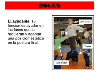 ROLES El ayudante , su función es ayudar en las fases que lo requieran y adoptar una posición estética en la postura final 