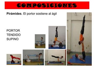 COMPOSICIONES Pirámides . El portor sostiene al ágil PORTOR  TENDIDO  SUPINO 