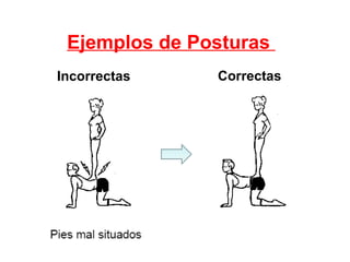 Ejemplos de Posturas  Incorrectas Correctas 
