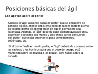 Los apoyos sobre el portor

 Cuando el “ágil” asciende sobre el “portor” que se encuentra en
 posición bípeda, el peso del cuerpo debe de recaer sobre la pierna
 de sostén (pierna de apoyo) antes de que la pierna libre sea
 levantada. Además, el “ágil” debe de estar siempre ayudado en su
 ascensión apoyando sus manos y pies en las partes del cuerpo
 del “portor” que mejor soporten el peso como hombros,
 cuádriceps. etc.

  Si el “portor” está en cuadrupedia, el “ágil” deberá de apoyarse sobre
 las caderas o los hombros para que el peso del cuerpo esté
 mantenido sobre los muslos o los brazos, pero nunca sobre la
 espalda.
 