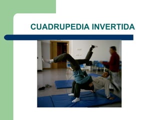 CUADRUPEDIA INVERTIDA 