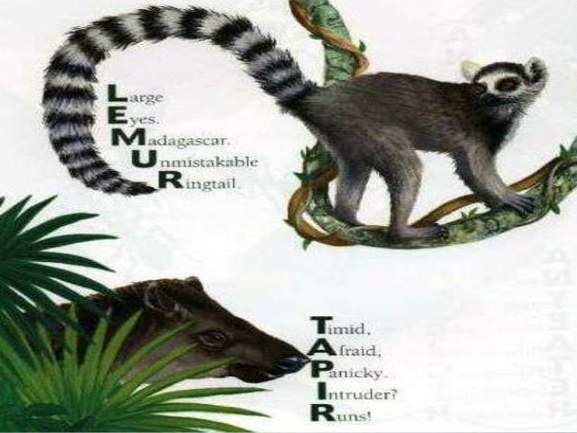 acrostic poems about endangered animals Acrostic poem endangered resource australian animals
