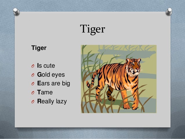 Bengal Tigers - Break And Bend Bengal Tigers - Break And Bend