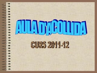 AULA D'ACOLLIDA CURS 2011-12 
