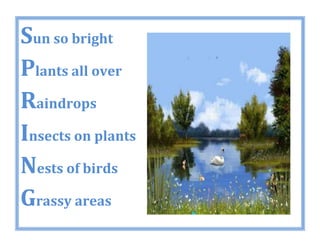 Acrostic Spring Poetry