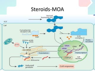 Steroids-MOA
 