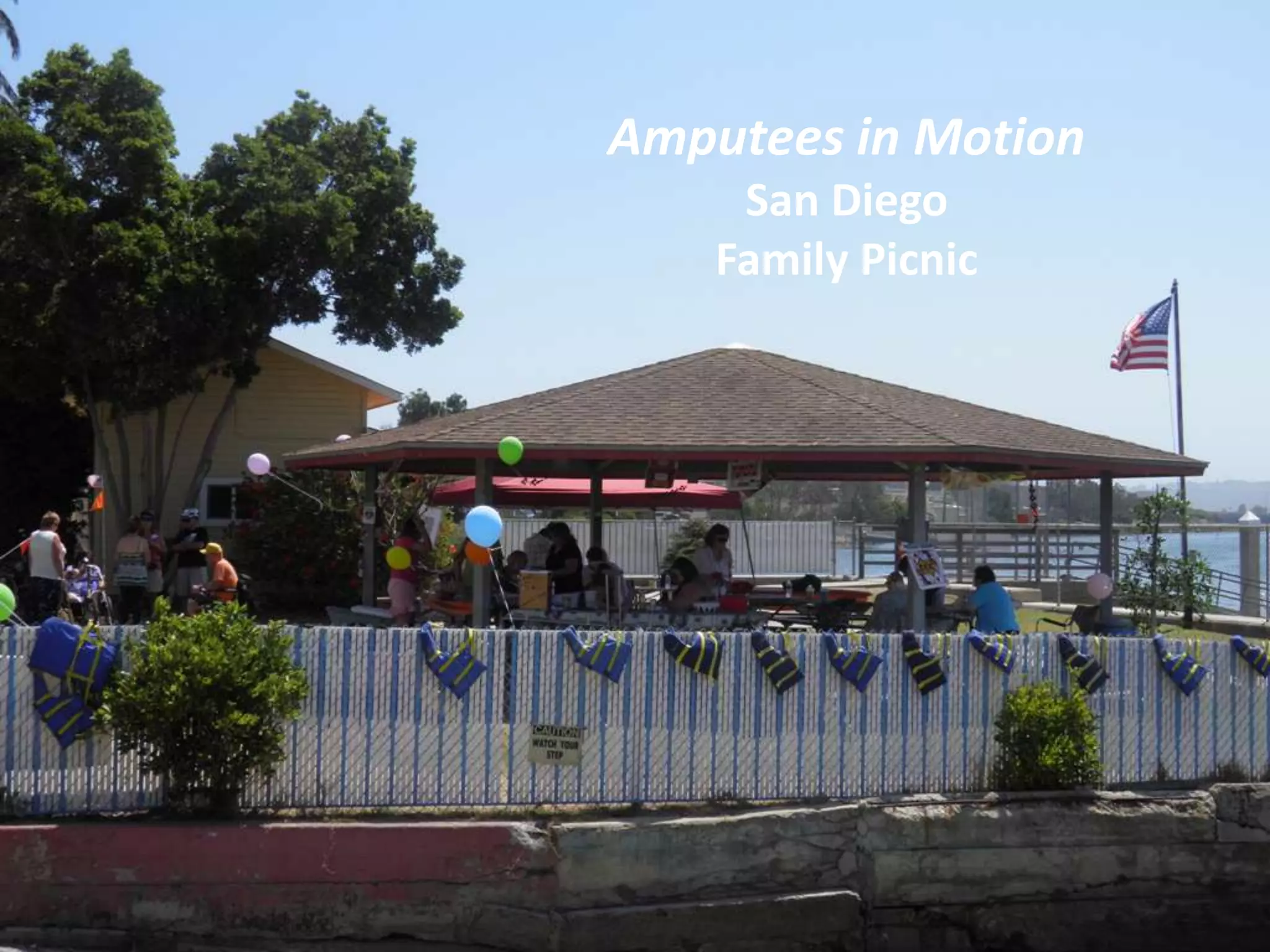 Amputees in Motion
     San Diego
    Family Picnic
 