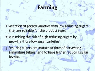 Farming


F Selection of potato varieties with low reducing sugars
  that are suitable for the product type.
t Minimising the risk of high reducing sugars by
  growing those low sugar varieties
g Ensuring tubers are mature at time of harvesting
  (immature tubers tend to have higher reducing sugar
  levels).
 
