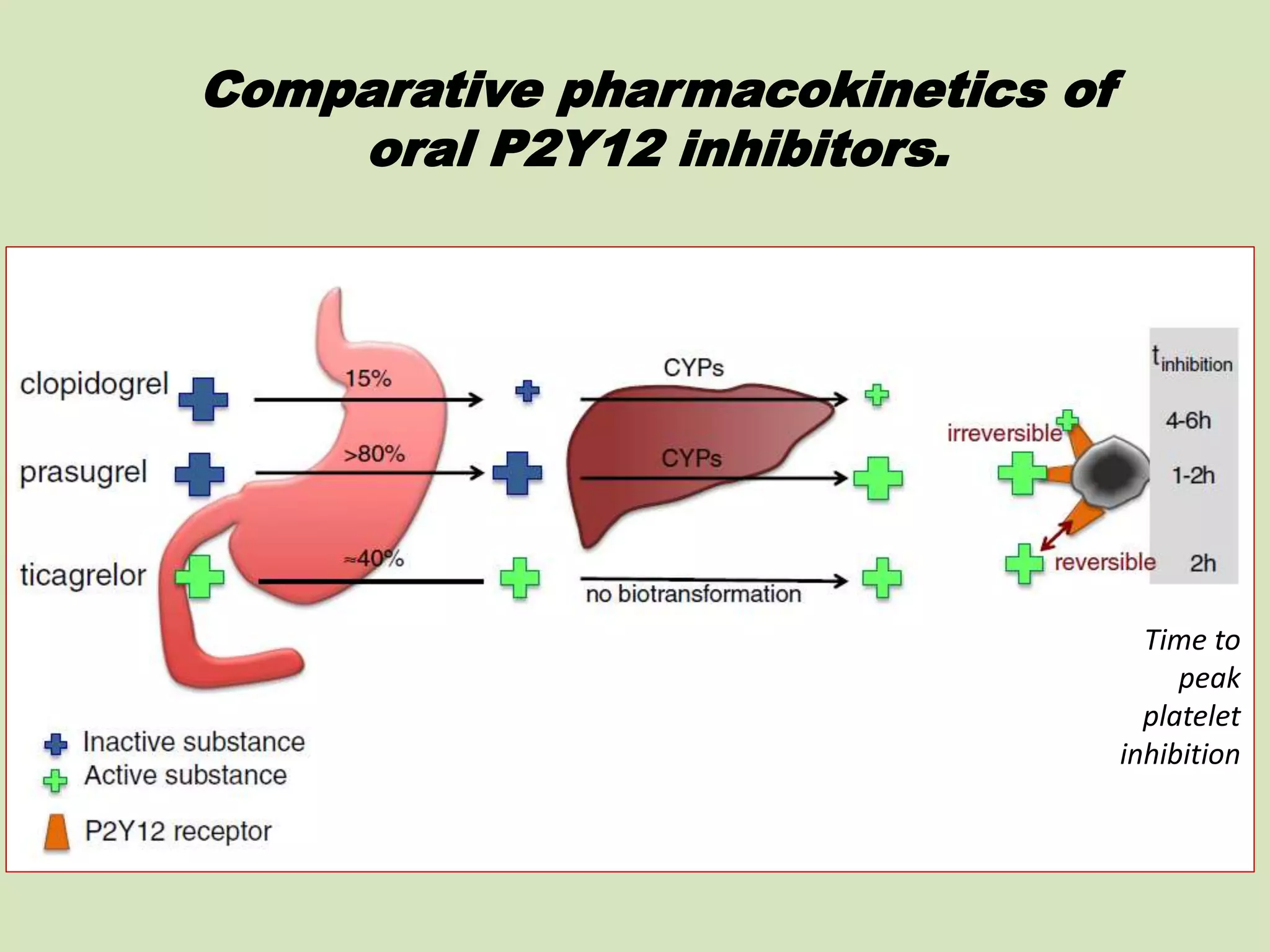 Comparative pharmacokinetics of
oral P2Y12 inhibitors.
Time to
peak
platelet
inhibition
 