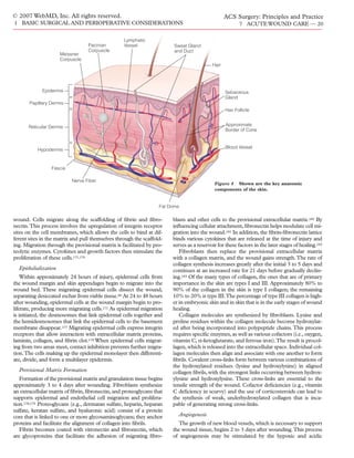 Acs0107 Acute Wound Care | PDF