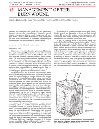 © 2004 WebMD, Inc. All rights reserved.                                                      ACS Surgery: Principles and Practice
7 TRAUMA AND THERMAL INJURY                                                       15 MANAGEMENT OF THE BURN WOUNS — 1


15            MANAGEMENT OF THE
              BURN WOUND
Matthew B. Klein, M.D., David Heimbach, M.D., F.A.C.S., and Nicole Gibran, M.D., F.A.C.S.




Advances in resuscitation and critical care have signiﬁcantly                The ﬁbroblast is the principal cell of the dermis and is respon-
improved survival after thermal injury. Ultimately, survival              sible for synthesis and degradation of ﬁbrous and elastic dermal
remains contingent on effective wound management and com-                 proteins. The dermis also contains various inﬂammatory cells
plete wound closure. Current approaches to burn management                (derived from bone marrow stem cells), mast cells, and cells asso-
are based on an understanding of the biology and physiology of            ciated with vascular, lymphatic, and nervous tissue.
human skin and the pathophysiology of the burn wound.                        The BMZ is a complex region of extracellular matrix con-
                                                                          necting the basal cells of the epidermis with the papillary dermis.
                                                                          At the light-microscopic level, the dermal-epidermal junction
Anatomic and Physiologic Considerations                                   consists of protrusions of dermal connective tissue known as
                                                                          dermal papillae, which interdigitate with epidermal projections
BIOLOGY OF SKIN
                                                                          known as rete ridges. The structure of the BMZ is best appreci-
   Skin consists of two distinct layers, the epidermis and the dermis;    ated on electron microscopy, where it appears as a trilaminar
these layers are integrated by a structure known as the basement          zone consisting of a central electron-dense region (the lamina
membrane zone (BMZ) [see Figure 1]. The epidermis is the outer            densa) ﬂanked on both sides by regions of lower electron densi-
layer and acts as the barrier between body tissues and the environ-       ty [see Figure 2]. Within the basal cells of the epidermis are mul-
ment. This layer protects against infection, ultraviolet light, and       tiple sites of attachment to the basal lamina, which are known as
evaporation of ﬂuids and provides thermal regulation. The epider-         hemidesmosomes. On the dermal side of the basal lamina are
mis is derived from fetal ectoderm and thus, like other ectodermal        numerous anchoring ﬁbrils, which reach from the lamina into
derivatives, is capable of regeneration. Repair of epidermal wounds       the connective tissue of the dermis.1 The BMZ plays a signiﬁcant
is achieved through regeneration of epidermal cells both from the         role in burn wound healing: epithelialized wounds undergo blis-
perimeter of the wound and from the adnexal structures of the epi-
dermis (i.e., hair follicles, sweat glands, and sebaceous glands).
Accordingly, pure epidermal injuries heal without scarring.1
   The principal cell of the epidermis is the keratinocyte. These
cells are arranged into ﬁve progressively differentiated layers, or
strata: the stratum basale, the stratum spinosum, the stratum
granulosum, the stratum lucidum, and the stratum corneum.The
outermost of these layers—the relatively impermeable stratum
corneum—provides the barrier mechanism that protects the
underlying tissues. Besides keratinocytes, the epidermis contains
cells from other embryologic layers that carry out speciﬁc func-
                                                                                                                            Epidermis
tions. Melanocytes, derived from fetal neuroectoderm, produce
melanosomes, which become pigmented as a result of the forma-
tion of melanin through the action of the enzyme tyrosinase.                                                                    Papillary
Melanin provides the skin with its pigment and absorbs harmful                                                                  Dermis
ultraviolet radiation. Langerhans cells, derived from bone marrow
cells, play a critical role in the immune function of the skin.These
                                                                                                                            Dermis
cells recognize, phagocytize, process, and present foreign antigens
and, through their expression of class II antigens, initiate the rejec-
tion process in skin transplantation.1
   In contrast to the epidermis, the dermis is a complex network                                                                Reticular
comprising cellular and acellular components. This layer provides                                                               Dermis
skin with its durability and elasticity. Structurally, the dermis con-
sists of two sublayers, a superﬁcial one (the papillary dermis) and a
deeper one (the reticular dermis). Collagen is the major structural                                                         Subcutaneous
matrix molecule, constituting approximately 70% of the skin’s dry                                                           Tissue
weight. Elastic ﬁbers account for approximately 2% of the skin’s
dry weight and play an important role in maintaining the integrity
of the skin after mechanical perturbation.1 Glycosaminoglycans
(GAGs), the third major extracellular component of the dermis,            Figure 1 Cross-sectional diagram shows the two distinct layers
regulate intracellular and intercellular events by binding to, releas-    of the skin—the epidermis and the dermis (papillary and reticu-
ing, and neutralizing cytokines and growth factors.2,3                    lar)—and the underlying subcutaneous fat.
 