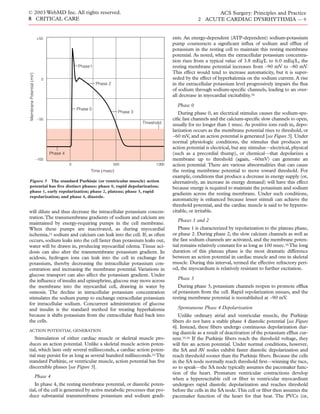 Acs0802 Acute Cardiac Dysrhythmia | PDF