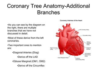 Acute Coronary Syndrome.ppt
