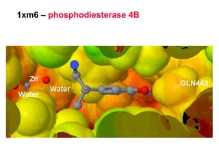 1xm6 –  phosphodiesterase 4B 