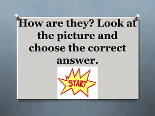 How are they? Look at
the picture and
choose the correct
answer.

 