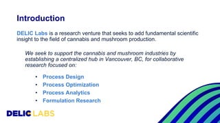 Introduction
DELIC Labs is a research venture that seeks to add fundamental scientific
insight to the field of cannabis an...