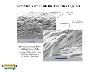 Lower Melting Bonding Material 0.04 inches Electron Microscopy Views of Single Carpet Tufts Insert Yarn Melts in Processing and Fuses Together each  of the Tuft’s Two Plies 0.02 inches   Nylon Yarn  Plies Low-Melt Yarn Binds the Tuft Plies Together 