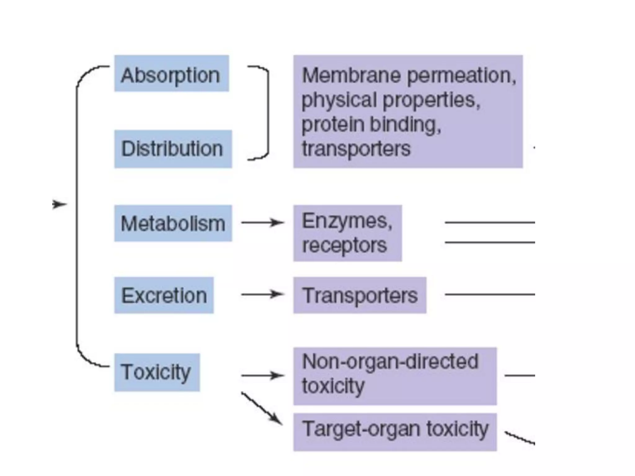 Development and sharing of ADME/Tox and Drug Discovery Machine learning ...