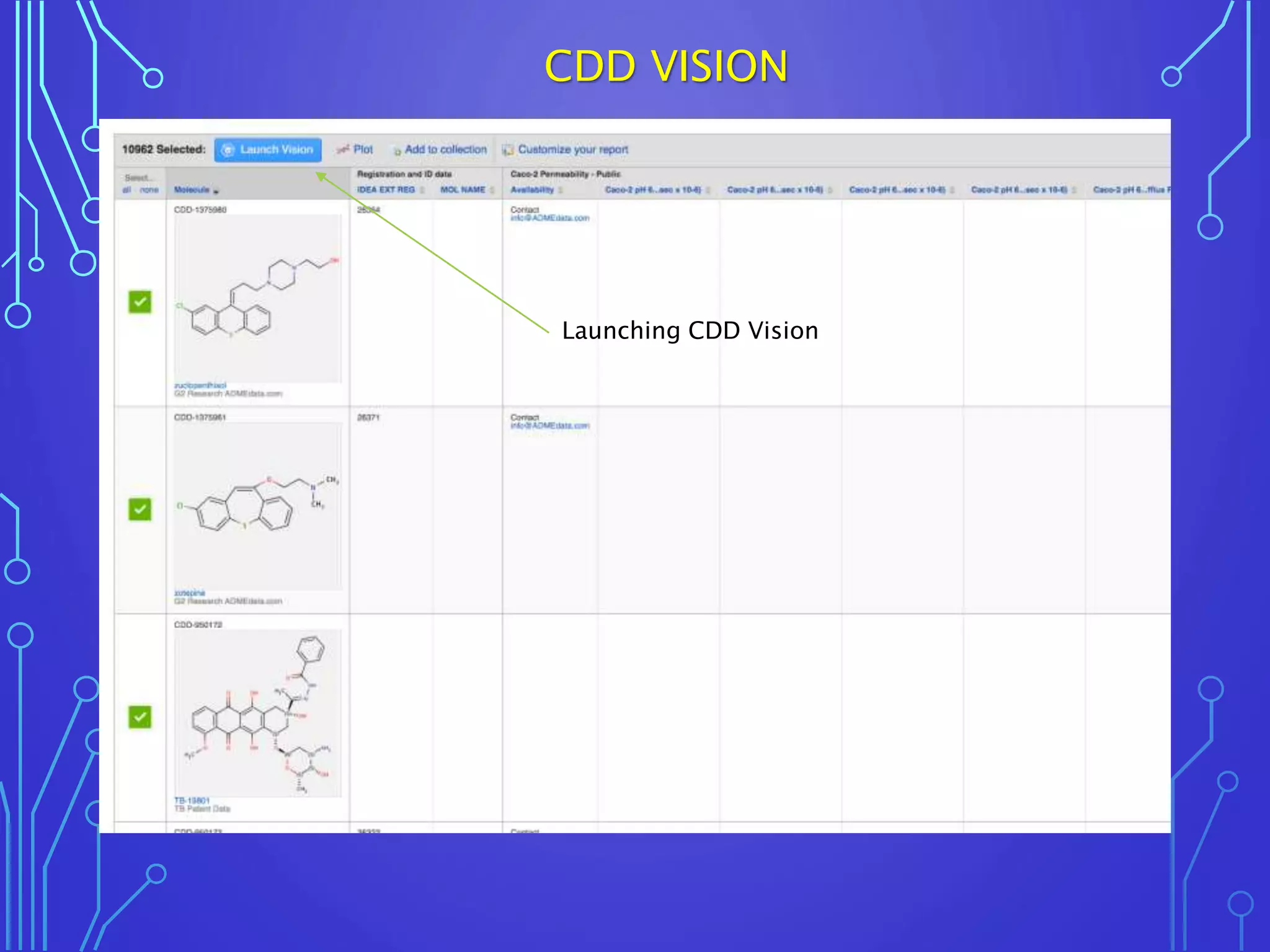 Launching CDD Vision
CDD VISION
 