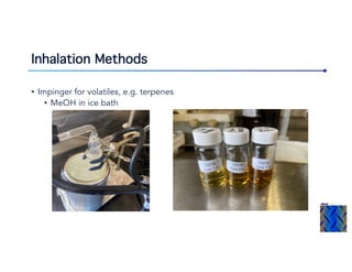 Inhalation Methods
• Impinger for volatiles, e.g. terpenes
• MeOH in ice bath
 