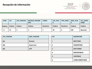 Recepción de información
CURP CCT CVE_FUNCION ENTIDAD_NACIMIE
NTO
TURNO CVE_PLAZ
A
TIPO_PAGO DESC_PLAZ
A
CCT_SUPER
VISOR
Cadena Cadena Cadena Cadena Numérico Cadena Numérico Cadena Cadena
18 10 3 3 1 30 2 250 Opcional
CVE_FUNCION DESC_FUNCION
001 Director
002 Supervisor
003 ATP
CVE DESCRIPCIÓN
1 MATUTINO
2 VESPERTINO
3 NOCTURNO
4 DISCONTINUO
5 CONTINUO
6 COMPLEMENTARIO
 