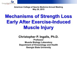 Mechanisms of Strength Loss
Early After Exercise-Induced
Muscle Injury
Christopher P. Ingalls, Ph.D.
Professor
Muscle Biology Laboratory
Department of Kinesiology and Health
Georgia State University
American College of Sports Medicine Annual Meeting
May 28, 2015
 