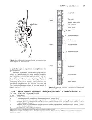 CHAPTER 5 Spinal Cord Dysfunction 59
spinal cord
FIGURE 5.1. Lumbar myelomeingocele with spinal nerves and meninges
protruding from the newborn’s spine.
FIGURE 5.2. Segmental innervation of some key muscles and organs
in spinal cord dysfunction.
TABLE 5.1. AMERICAN SPINAL INJURY ASSOCIATION (ASIA) IMPAIRMENT SCALE FOR ASSESSING THE
SEVERITY OF SPINAL CORD INJURY (6,7)
CLASS DESCRIPTION
A Complete. No sensory or motor function is preserved in the sacral segments S4–S5.
B Incomplete. Sensory but no motor function is preserved below the neurologic level and extends through the sacral segments S4–S5.
C Incomplete. Motor function is preserved below the neurologic level, and most key muscles below the neurologic level have a manual
muscle test grade 3 out of 5.
D Incomplete. Motor function is preserved below the neurologic level, and most key muscles below the neurologic level have a manual
muscle test grade 3 out of 5.
E Normal. Sensory and motor function is normal.
ASIA. International Standards for Neurological Classiﬁcation of SCI. Atlanta: American Spinal Injury Association; 2002.
ASIA. Standard neurological classiﬁcation of spinal cord injury. Atlanta: American Spinal Injury Association; 2006. (accessed online, 2-17-08: http://www.asia-spinalinjury.org/publications/
2006_Classif_worksheet.pdf)
to grade the degree of impairment or completeness at a
given level (6,7).
Physiologic impairment from either acquired or con-
genital SCI can include sensory loss, muscular paralysis,
and sympathetic nervous system impairment. These fre-
quently have an impact on the magnitude and quality of
acute physiologic responses to exercise and the ultimate
trainability of the person with SCI. Basic anatomic and
physiologic impairments and residual functions are
often summarized by physicians on the form shown in
Figure 5.3 (6,7).
head, neck
Cervical
Thoracic
Lumbar
Sacral
diaphragm
deltoids, biceps brachii
wrist extensors
triceps brachii
hand
cardiac sympathetic
chest muscles
adrenal medullae
abdominal muscles
leg muscles
bowels, bladder
sexual function
C1
C2
C3
C4
C5
C6
C7
C8
T1
T2
T3
T4
T5
L1
L2
L3
L4
L5
S1
S2
S3
S4
S5
T6
T7
T8
T9
T10
T11
T12
LWBK191-4034G-C05_58-78.qxd 06/11/2008 10:02 AM Page 59
 