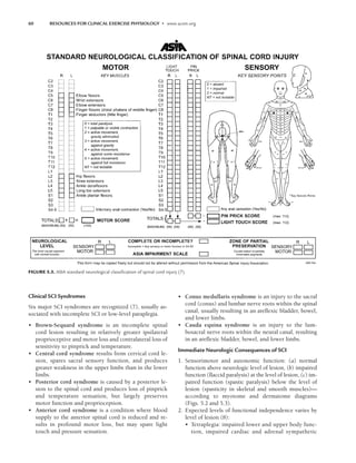 60 RESOURCES FOR CLINICAL EXERCISE PHYSIOLOGY • www.acsm.org
Clinical SCI Syndromes
Six major SCI syndromes are recognized (7), usually as-
sociated with incomplete SCI or low-level paraplegia.
• Brown-Sequard syndrome is an incomplete spinal
cord lesion resulting in relatively greater ipsilateral
proprioceptive and motor loss and contralateral loss of
sensitivity to pinprick and temperature.
• Central cord syndrome results from cervical cord le-
sion, spares sacral sensory function, and produces
greater weakness in the upper limbs than in the lower
limbs.
• Posterior cord syndrome is caused by a posterior le-
sion to the spinal cord and produces loss of pinprick
and temperature sensation, but largely preserves
motor function and proprioception.
• Anterior cord syndrome is a condition where blood
supply to the anterior spinal cord is reduced and re-
sults in profound motor loss, but may spare light
touch and pressure sensation.
• Conus medullaris syndrome is an injury to the sacral
cord (conus) and lumbar nerve roots within the spinal
canal, usually resulting in an areflexic bladder, bowel,
and lower limbs.
• Cauda equina syndrome is an injury to the lum-
bosacral nerve roots within the neural canal, resulting
in an areflexic bladder, bowel, and lower limbs.
Immediate Neurologic Consequences of SCI
1. Sensorimotor and autonomic function: (a) normal
function above neurologic level of lesion, (b) impaired
function (flaccid paralysis) at the level of lesion, (c) im-
paired function (spastic paralysis) below the level of
lesion (spasticity in skeletal and smooth muscles)—
according to myotome and dermatome diagrams
(Figs. 5.2 and 5.3).
2. Expected levels of functional independence varies by
level of lesion (8):
• Tetraplegia: impaired lower and upper body func-
tion, impaired cardiac and adrenal sympathetic
FIGURE 5.3. ASIA standard neurological classiﬁcation of spinal cord injury (7).
LWBK191-4034G-C05_58-78.qxd 06/11/2008 10:02 AM Page 60
 