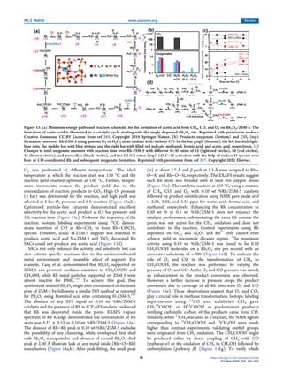 Single Atom Catalysts for Selective Methane Oxidation to Oxygenates | PDF