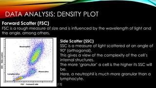 Fsc Calculation Imaging Flow Cytometry | PDF