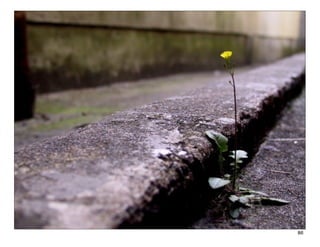 PRÉSENTATION




               86
 