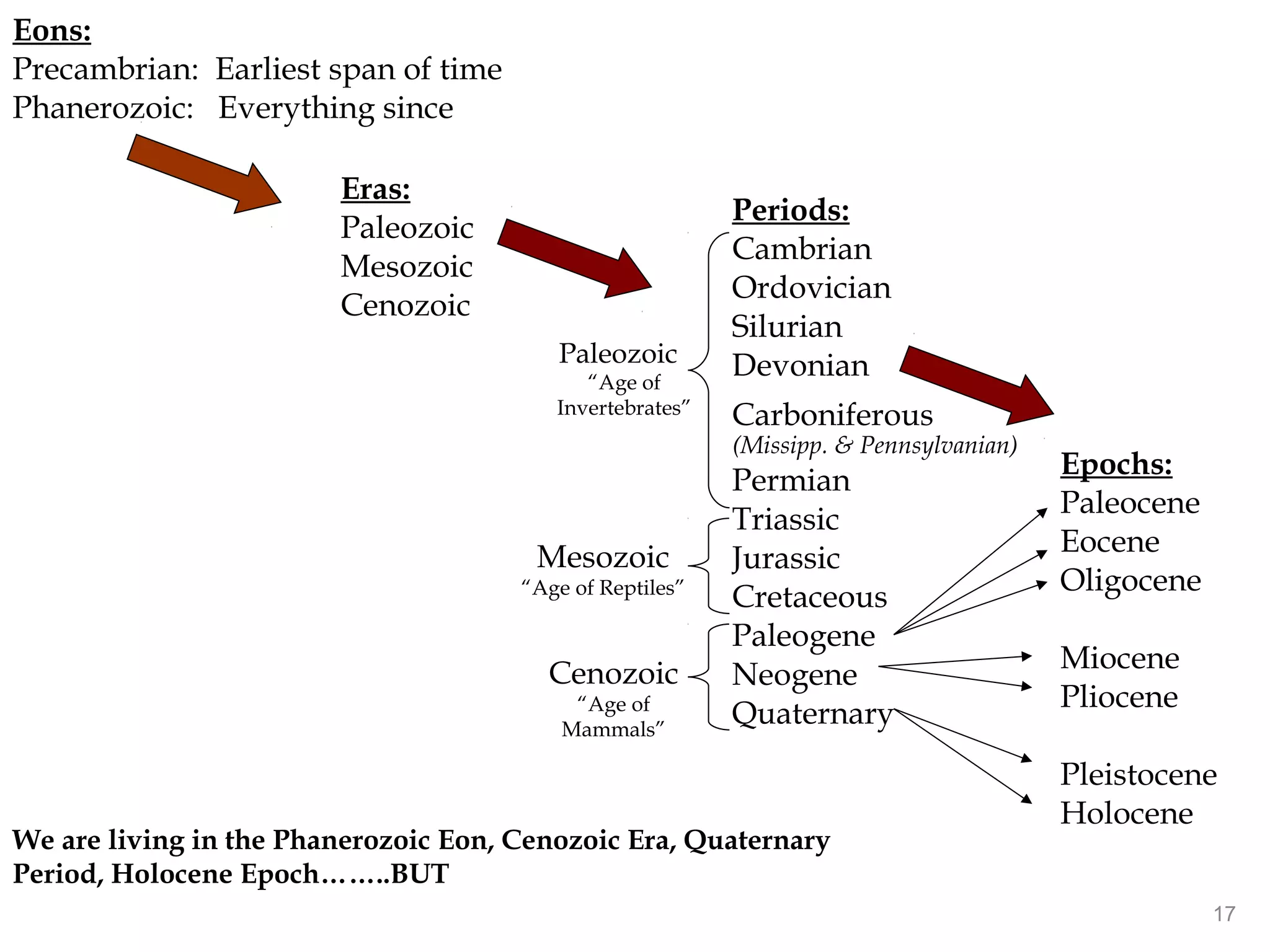 Eons:
Precambrian: Earliest span of time
Phanerozoic: Everything since
Eras:
Paleozoic
Mesozoic
Cenozoic
Periods:
Cambrian
Ordovician
Silurian
Devonian
Carboniferous
(Missipp. & Pennsylvanian)
Permian
Triassic
Jurassic
Cretaceous
Paleogene
Neogene
Quaternary
Epochs:
Paleocene
Eocene
Oligocene
Miocene
Pliocene
Pleistocene
Holocene
We are living in the Phanerozoic Eon, Cenozoic Era, Quaternary
Period, Holocene Epoch……..BUT
Paleozoic
“Age of
Invertebrates”
Mesozoic
“Age of Reptiles”
Cenozoic
“Age of
Mammals”
17
 