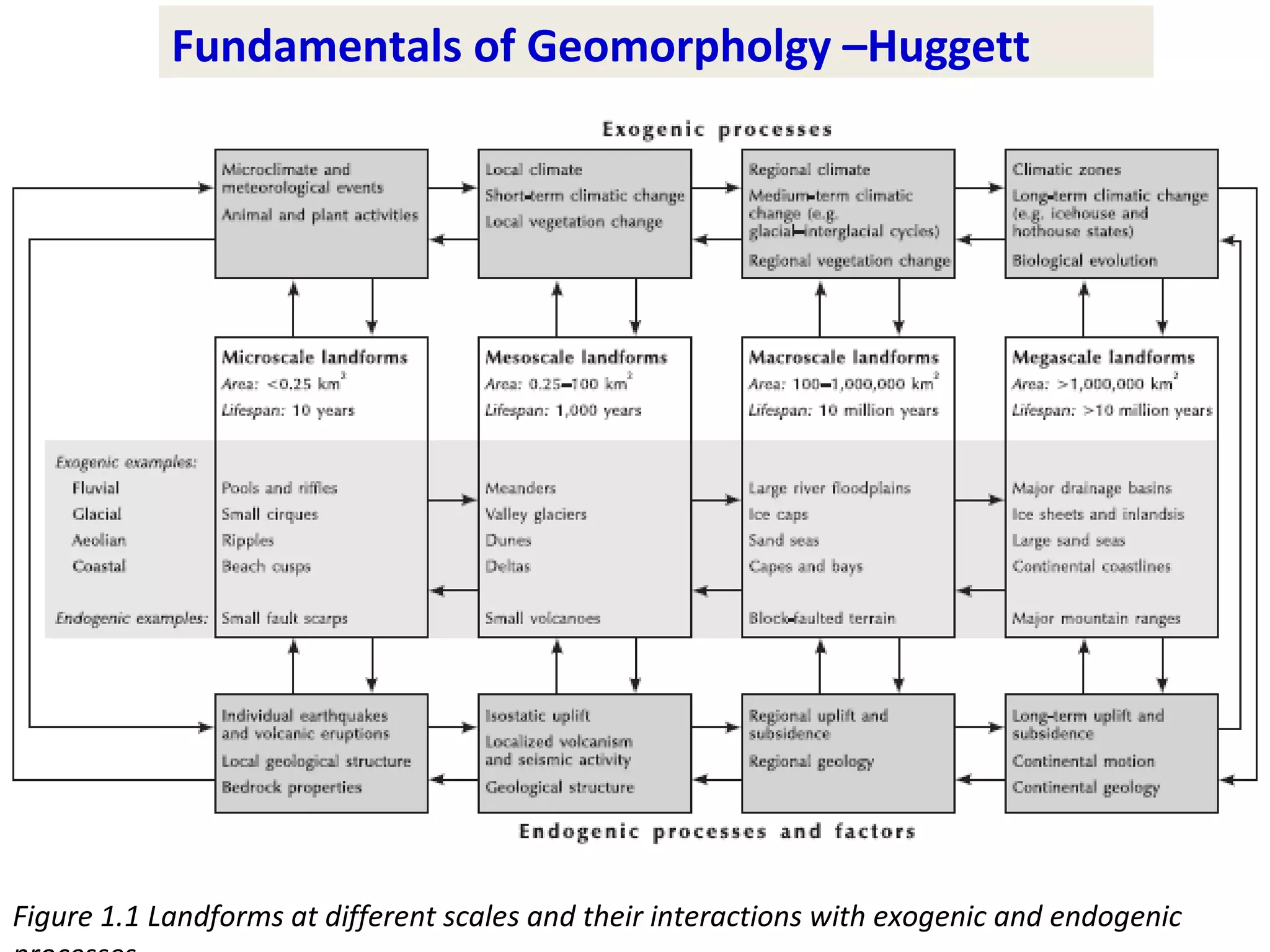 Fundamentals of Geomorpholgy –Huggett
Figure 1.1 Landforms at different scales and their interactions with exogenic and endogenic
 