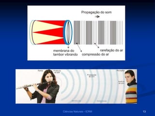 Ciências Naturais - ICRM 13
 